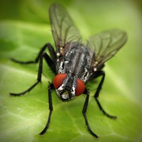 /album/gamerlocut/photolia-a01-jpg/