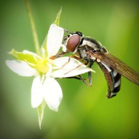 /album/gamerlocut/photolia-a02-jpg/