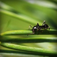 /album/gamerlocut/photolia-a05-jpg/