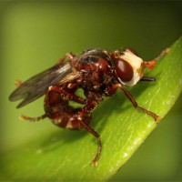 /album/gamerlocut/photolia-a06-jpg/