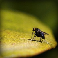 /album/gamerlocut/photolia-a07-jpg/