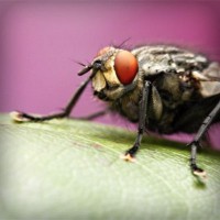 /album/gamerlocut/photolia-a08-jpg/